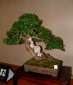 2005_0506_170026b.jpg