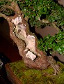 2005_0506_170047b.jpg