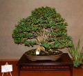 2005_0506_171010b.jpg