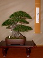 2005_0506_171235b.jpg