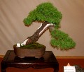 2005_0506_171408b.jpg