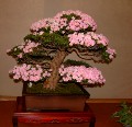 2005_0506_171425b.jpg