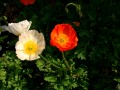 2005_0506_174124AA.JPG