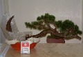 2005_0507_084936b.jpg