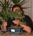 2005_0507_103832b.jpg