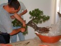 2005_0507_110401AA.JPG