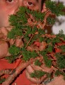 2005_0507_124419AA.JPG