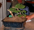2005_0507_125131b.jpg