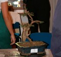 2005_0507_125302b.jpg