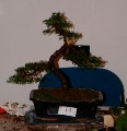 2005_0507_125316b.jpg