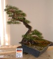 2005_0508_110634b.jpg