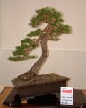 2005_0508_110747b.jpg