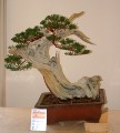 2005_0508_110932b.jpg