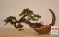 2005_0508_110950b.jpg