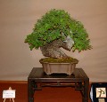 2005_0508_112636b.jpg
