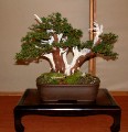 2005_0508_112651b.jpg