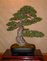 2005_0508_113057b.jpg
