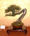 2005_0508_113208b.jpg