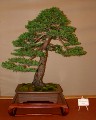 2005_0508_114317b.jpg