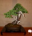 2005_0508_114353b.jpg