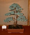 2005_0508_114444b.jpg