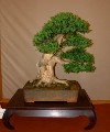 2005_0508_115048b.jpg