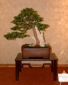 2005_0508_115324b.jpg