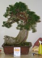 IMG_6680b.JPG