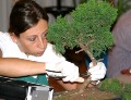 IMG_6700b.JPG