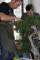 IMG_6707.JPG