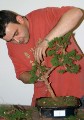 IMG_6724b.JPG