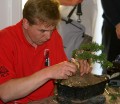 IMG_6728b.JPG