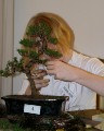 IMG_6730b.JPG