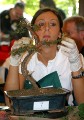 IMG_6731b.JPG