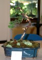 IMG_6741b.JPG