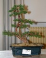 IMG_6746b.JPG
