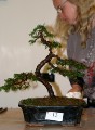 IMG_6749b.JPG