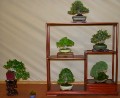 IMG_6766b.JPG